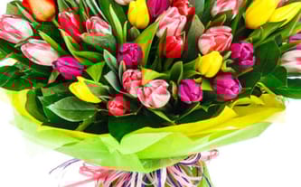 Marta Gawrońska Petryk