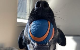 Anonimowa Pomagaczka