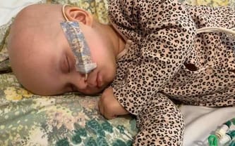 Ania Radziwon Dudson