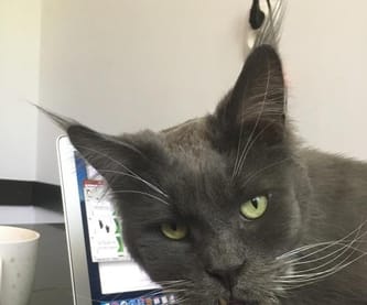 Katarzyna Kołodziejczyk