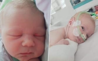 Aleksander Mikołajczyk