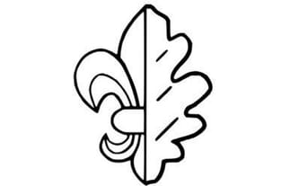 Trzymając się Razem