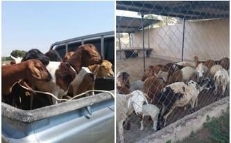 Dom dziecka w Bukanga w Tanzanii.