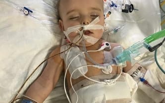 Mikołaj Wesołowski