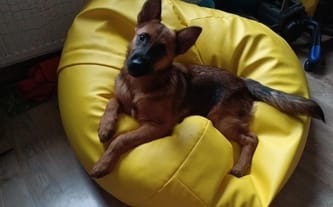 Małgorzata Orłowska