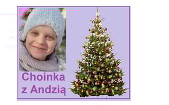 Szkoła Podstawowa w Pukininie