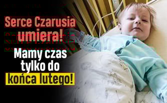 Czarek i Igorek Bres