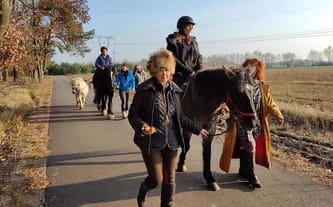 Fundacja Dzielna Matka