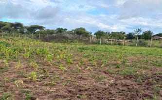 STOWARZYSZENIE TO HELP AFRICA