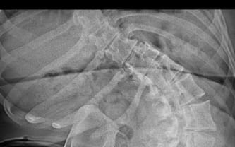 Gabriela Strzęciwilk