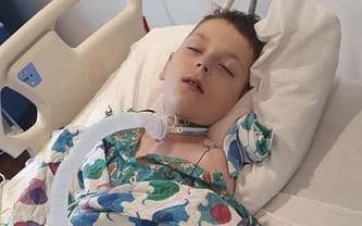 Pomóż, Wesprzyj, Udostępnij