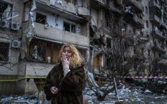 Pogotowie Charytatywne Dla Zwierząt