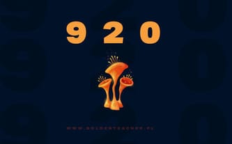 GoldenTeacher.pl