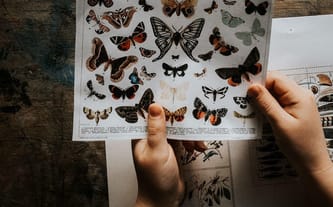 Magdalena Pietruszewska