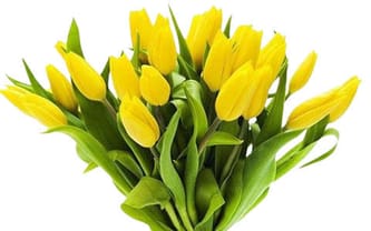 Kwiaciarnia Lila Róż Gostyń