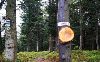 Stowarzyszenie Pozytywni