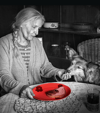 Stowarzyszenie Wiosna