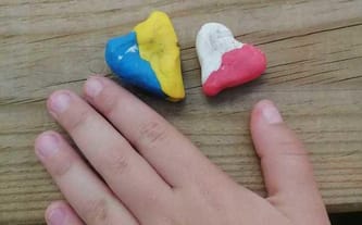 Towarzystwo Przyjaciół Ukrainy