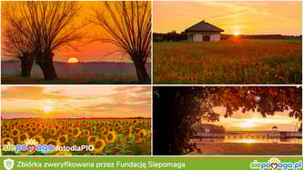 Przemysław Małecki