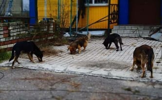 POMÓŻ Nam POMAGAĆ Dalej