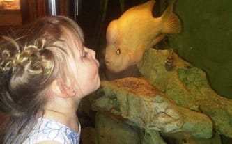 Konferencja "Autyzm od rzetelnej diagnozy po kompleksowe wsparcie"