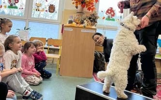 Fundacja Working Dogs