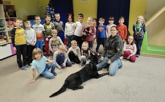 Fundacja Working Dogs