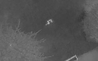 Dron do poszukiwań osób zaginionych