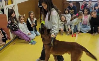 Fundacja Working Dogs