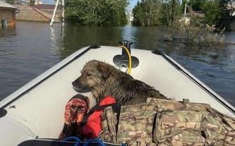 Na pomoc ofiarom wojny i powodzi w Chersonie (UA)