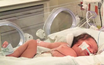 Zillah Michel Shulman