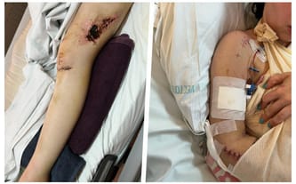 Małgorzata Krawczyk