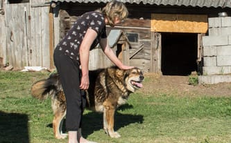 Stowarzyszenie Odra Niemen