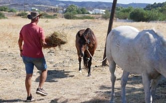 Pomóżmy mieszkańcom Rodos !