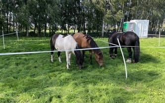 Nauczę cię chodzić bez chodzenia. Chodź ze mną, na moich nogach dotkniesz Nieba!