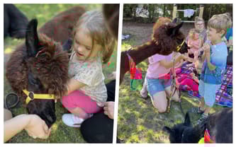 Fundacja Supersprawni