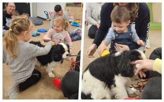 Fundacja Supersprawni