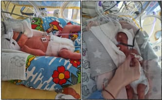 Marcelina Jabłonowska-Fudzińska