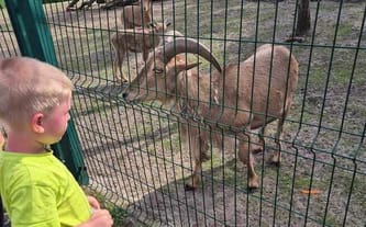 Towarzystwo Przyjaciół Dzieci Oddział Okręgowy