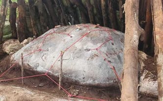 Caritas Archidiecezji Krakowskiej