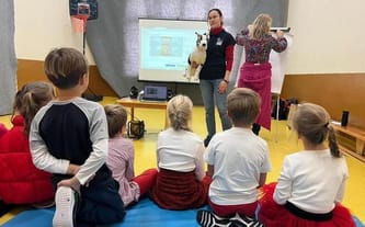 Fundacja Working Dogs