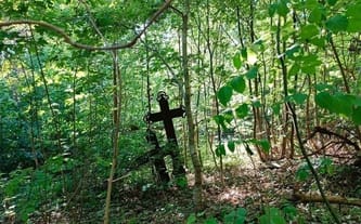 Nie pozwólmy zarastać pamięci