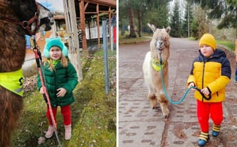 Bartosz Foelkner-Nowak