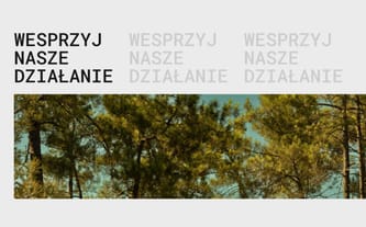 Fundacja Artystyczna Wylepiarnia