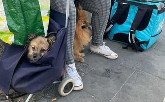 Fundacja Daj Herbatę