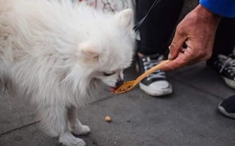 Fundacja Daj Herbatę
