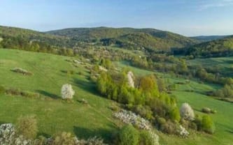 Fundacja Uśmiech Świetlika