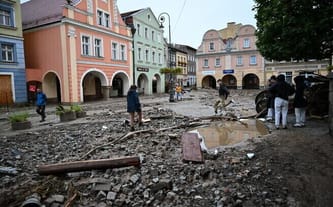 Fundacja Serce na Dłoni