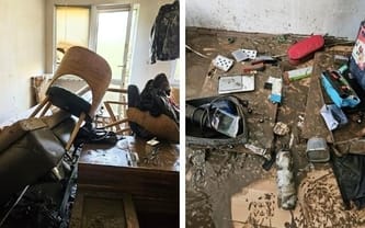 Bernadeta Wiśniewska