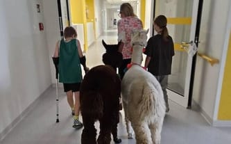 Pomóżcie nam zaczarować szpitale